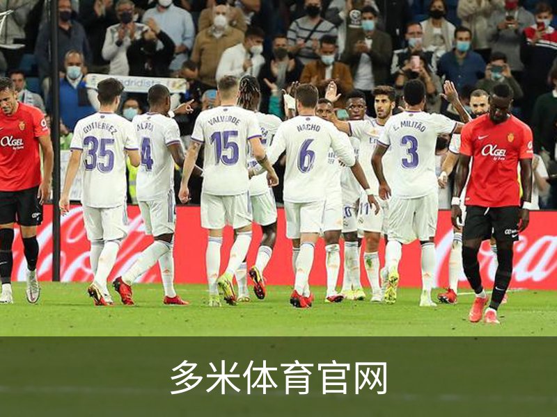 多米体育官网简介
